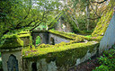 BUITEN BEELD Foto: 289887