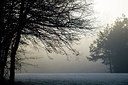 BUITEN BEELD Foto: 289924