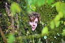BUITEN BEELD Foto: 289932