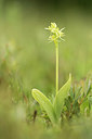 BUITEN BEELD Foto: 289977
