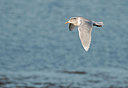 BUITEN BEELD Foto: 290072