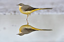 BUITEN BEELD Foto: 290087