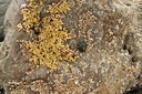 BUITEN BEELD Foto: 290112
