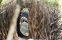 BUITEN BEELD Foto: 290151