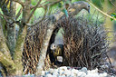 BUITEN BEELD Foto: 290165