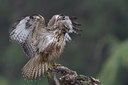 BUITEN BEELD Foto: 290203