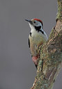 BUITEN BEELD Foto: 290217