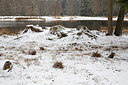 BUITEN BEELD Foto: 290280