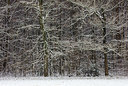 BUITEN BEELD Foto: 290283