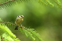 BUITEN BEELD Foto: 290291