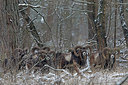 BUITEN BEELD Foto: 290292