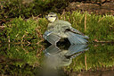 BUITEN BEELD Foto: 290314