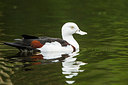 BUITEN BEELD Foto: 290335