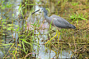 BUITEN BEELD Foto: 290355