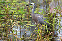 BUITEN BEELD Foto: 290356