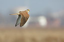 BUITEN BEELD Foto: 290468