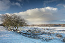 BUITEN BEELD Foto: 290497
