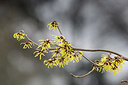 BUITEN BEELD Foto: 290499