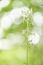 BUITEN BEELD Foto: 290508