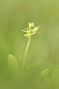 BUITEN BEELD Foto: 290540
