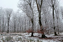 BUITEN BEELD Foto: 290658