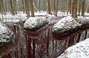 BUITEN BEELD Foto: 290665