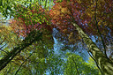 BUITEN BEELD Foto: 290732