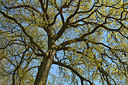 BUITEN BEELD Foto: 290751