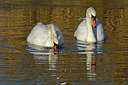 BUITEN BEELD Foto: 290759