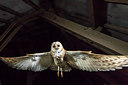 BUITEN BEELD Foto: 290856