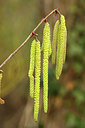 BUITEN BEELD Foto: 290884