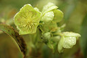 BUITEN BEELD Foto: 290897