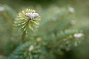 BUITEN BEELD Foto: 290905