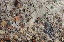 BUITEN BEELD Foto: 290972