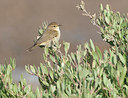 BUITEN BEELD Foto: 290987