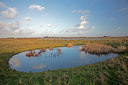 BUITEN BEELD Foto: 291042