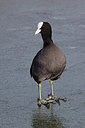 BUITEN BEELD Foto: 291110