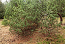 BUITEN BEELD Foto: 291154