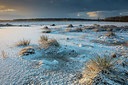 BUITEN BEELD Foto: 291168