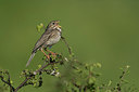 BUITEN BEELD Foto: 291169