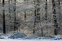 BUITEN BEELD Foto: 291181