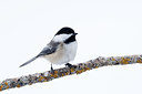BUITEN BEELD Foto: 291182