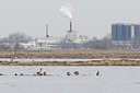 BUITEN BEELD Foto: 291189