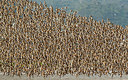 BUITEN BEELD Foto: 291283