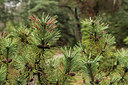 BUITEN BEELD Foto: 291340