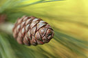 BUITEN BEELD Foto: 291345