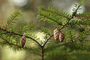 BUITEN BEELD Foto: 291365