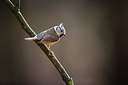 BUITEN BEELD Foto: 291380