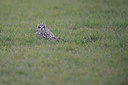 BUITEN BEELD Foto: 291392