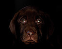 BUITEN BEELD Foto: 291446